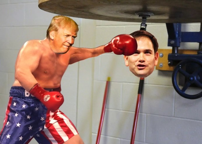 Illustration of Donald Trump as a boxer punching Marco Rubio's face as if it is a speed bag.
