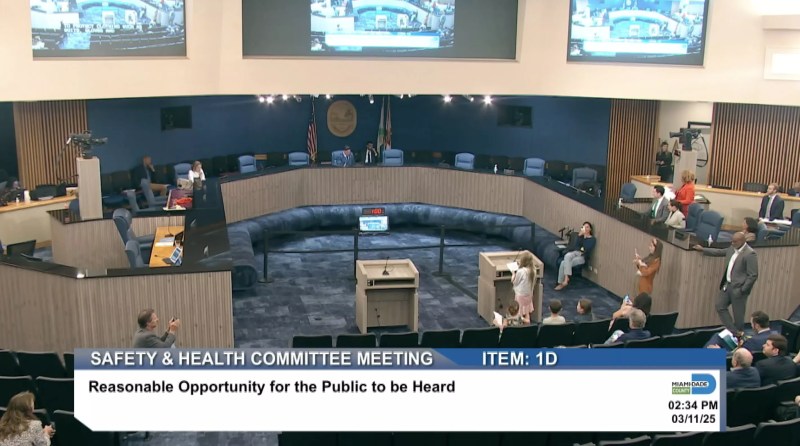 A kid speaking in at the MIami-Dade commission