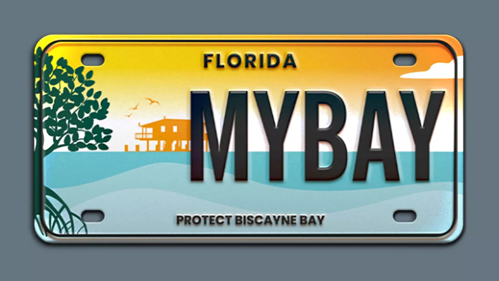 A "Protect Biscayne Bay" license plate features a sunset scene in orange and blue.