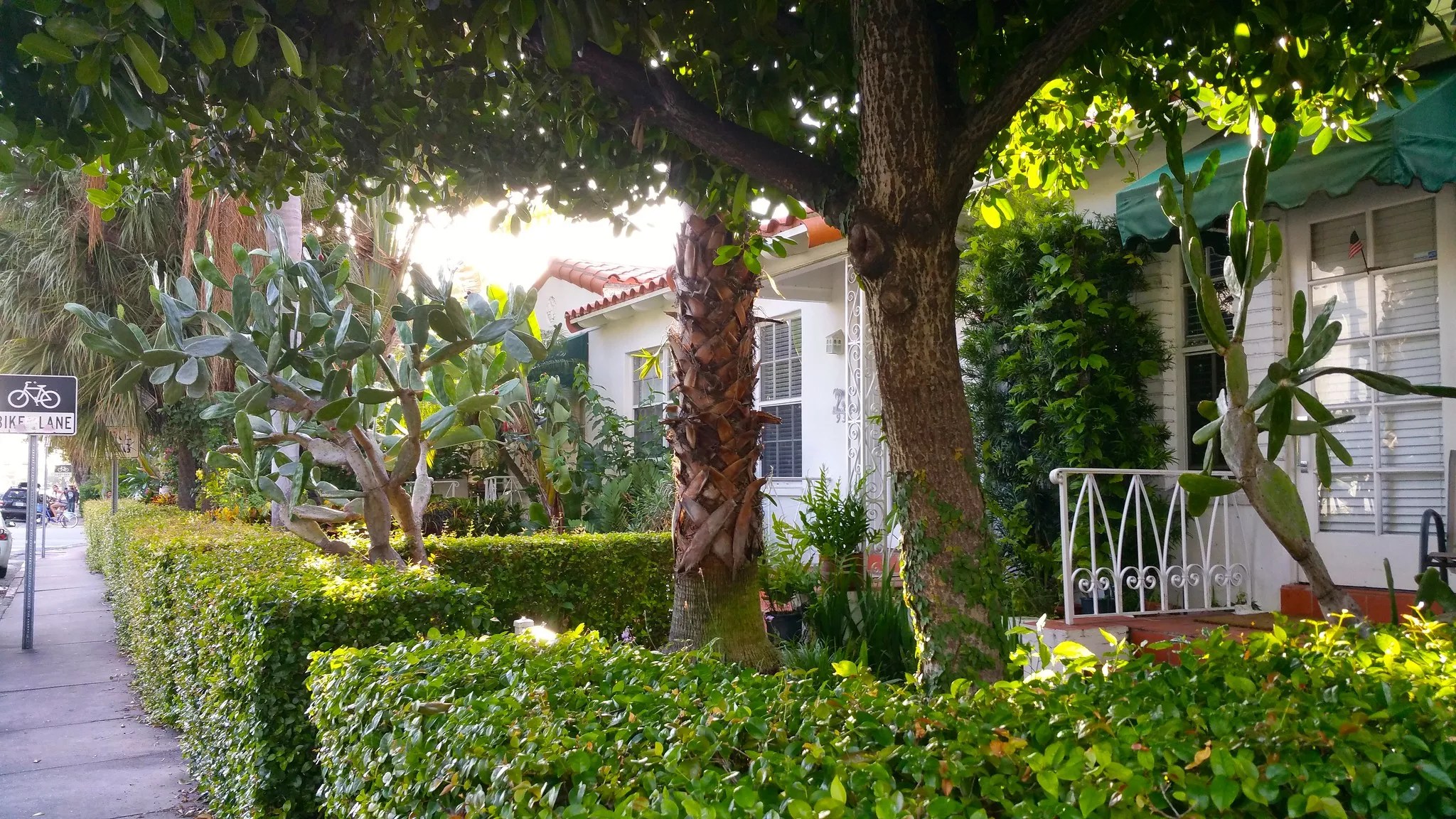 A white home in South Florida with a red tiled roof is surrounded by lush greenery