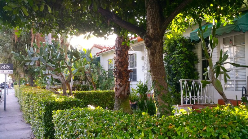 A white home in South Florida with a red tiled roof is surrounded by lush greenery