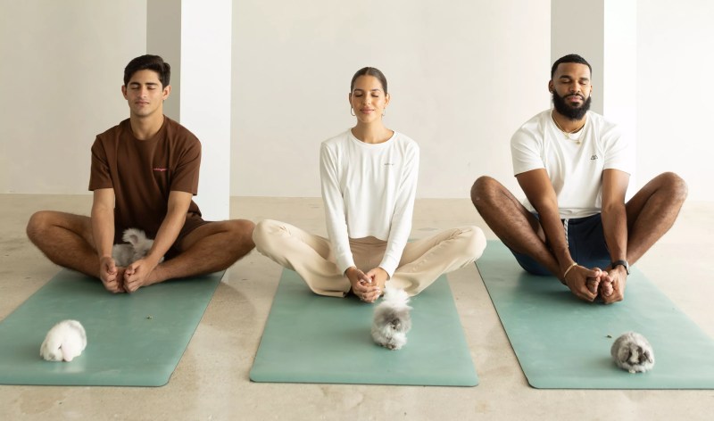 Three people sit on yoga mats with their eyes closed. A bunny sits at the top of each mat.